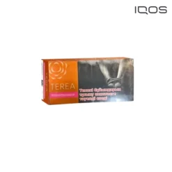 【琥珀濃原味】哈版TEREA煙彈 IQOS ILUMA主機專用 濃郁菸香 × 經典回歸 整條煙(10包)
